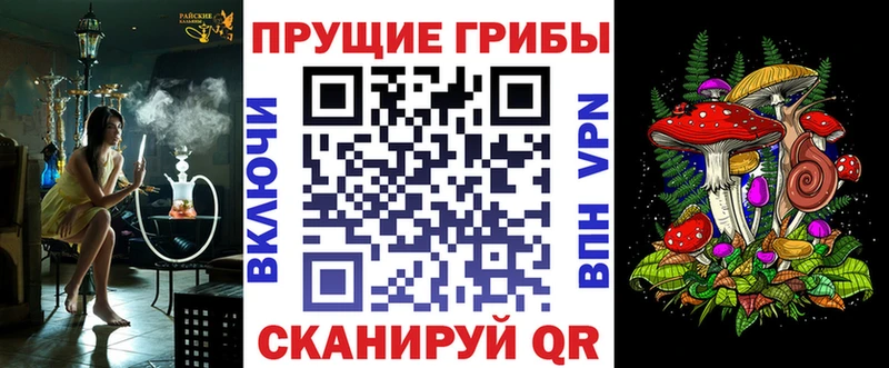 дарнет шоп  Радужный  Галлюциногенные грибы Magic Shrooms 